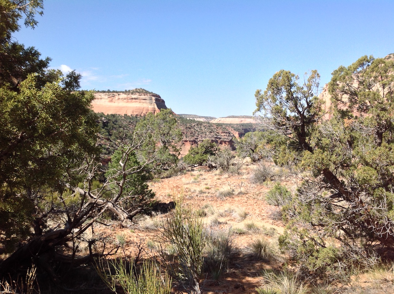 mcinnis-canyons-day-2-cayonlands-backpacking-hiking-camping-7
