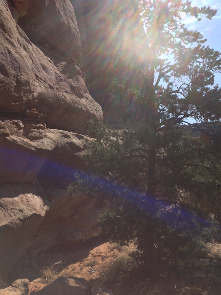 mcinnis-canyons-day-2-cayonlands-backpacking-hiking-camping-9