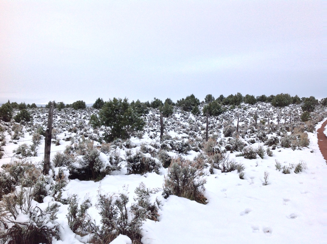 mcinnis-canyons-sign-snow-winter-backpacking-camping-morning-12