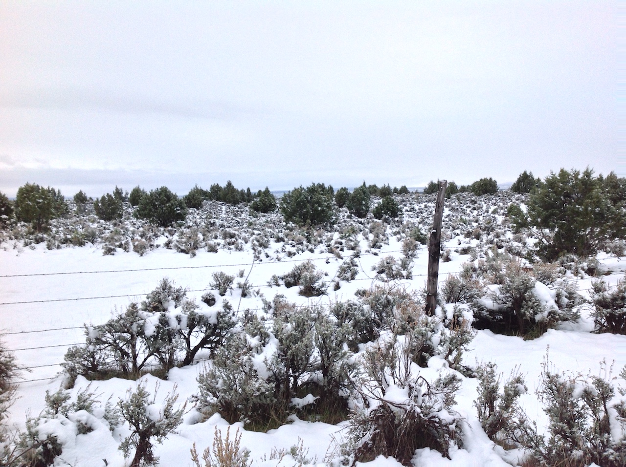 mcinnis-canyons-sign-snow-winter-backpacking-camping-morning-13