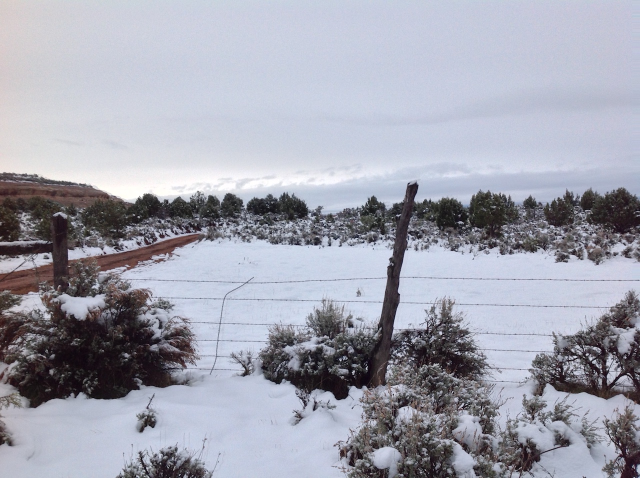 mcinnis-canyons-sign-snow-winter-backpacking-camping-morning-14
