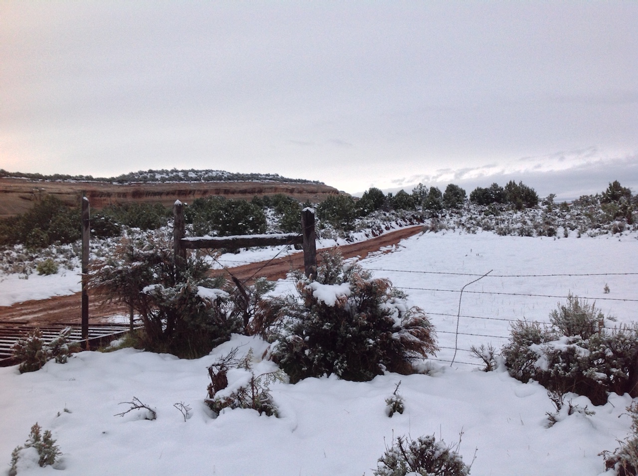 mcinnis-canyons-sign-snow-winter-backpacking-camping-morning-15
