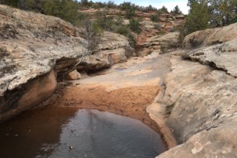 Finding Water Sources (McInnis Canyons National Conservation Area)