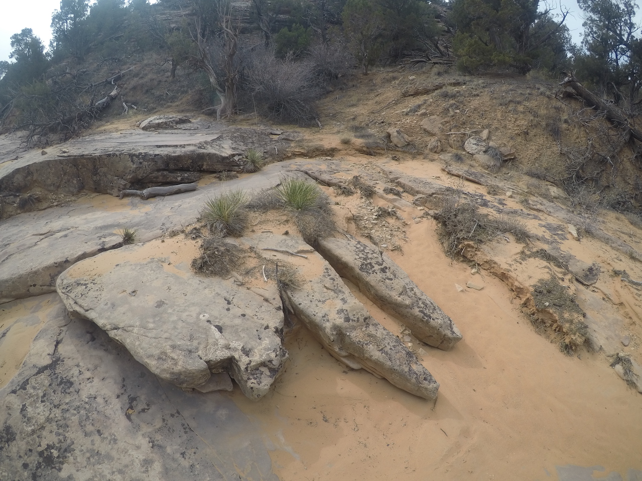 Knowles Canyon- Fuita, CO Nov. 2018 #sharegj